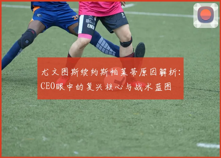 尤文图斯续约斯帕莱蒂原因解析:CEO眼中的复兴核心与战术蓝图