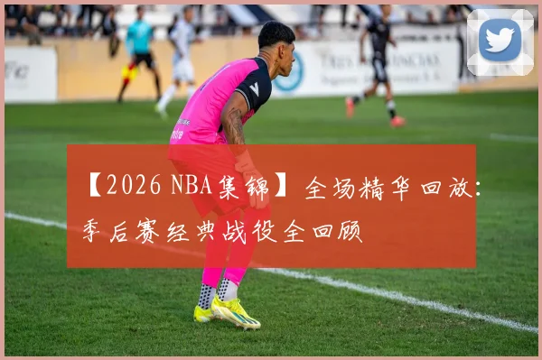 【2026 NBA集锦】全场精华回放:季后赛经典战役全回顾